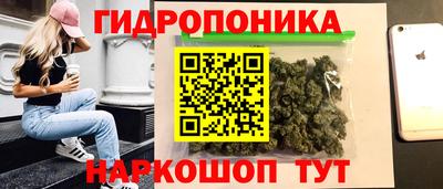ALPHA PVP Кингисепп