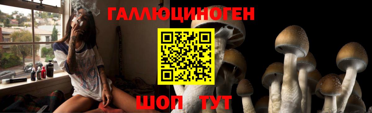 Псилоцибиновые грибы Cubensis Железноводск